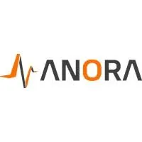 Anora Semiconductor Logo